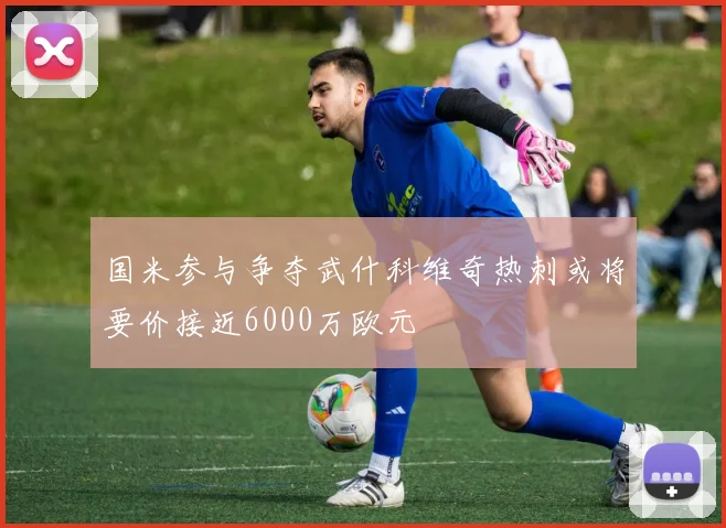 国米参与争夺武什科维奇热刺或将要价接近6000万欧元